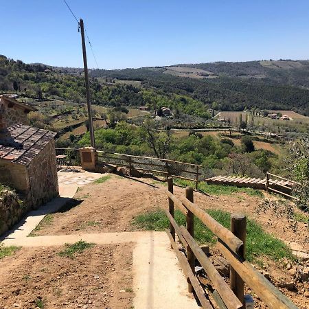 Podere Soccorso Casa Vigneto Montalcino Exterior foto