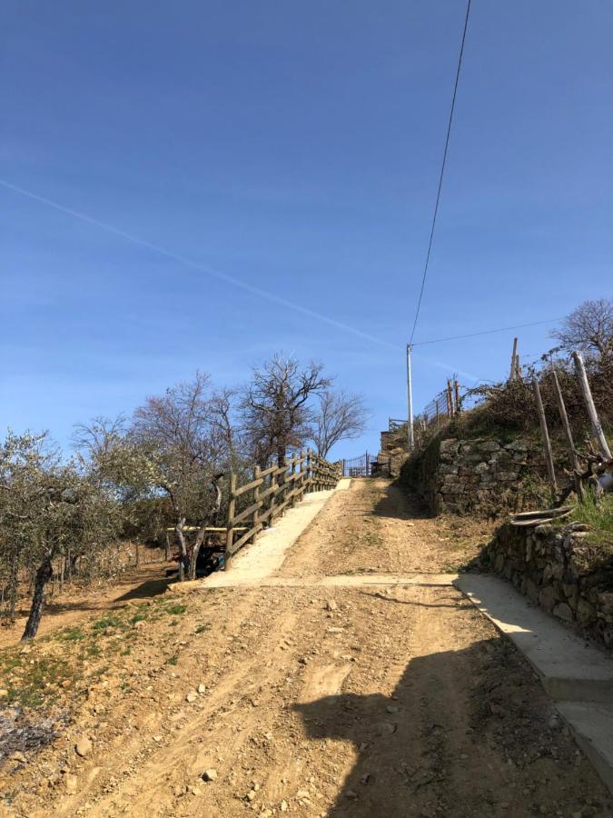 Podere Soccorso Casa Vigneto Montalcino Exterior foto
