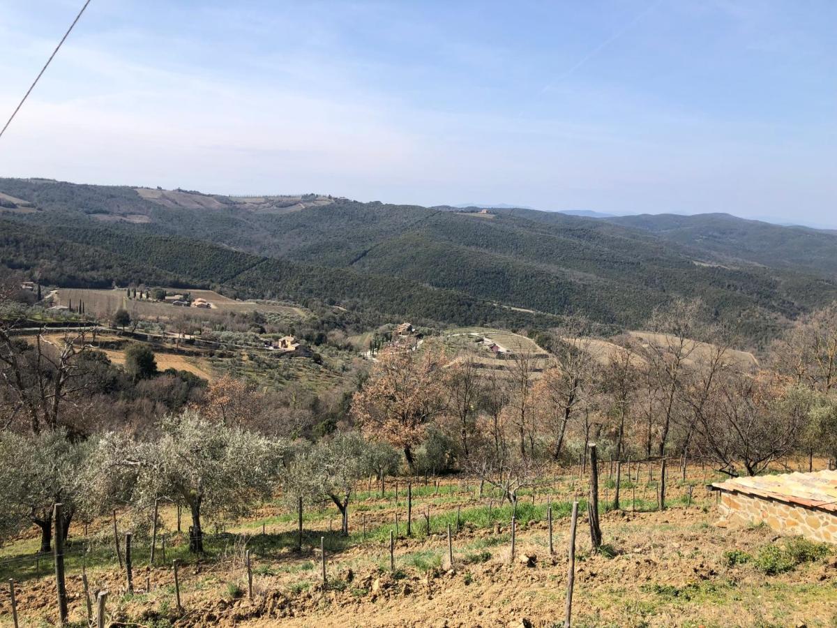 Podere Soccorso Casa Vigneto Montalcino Exterior foto
