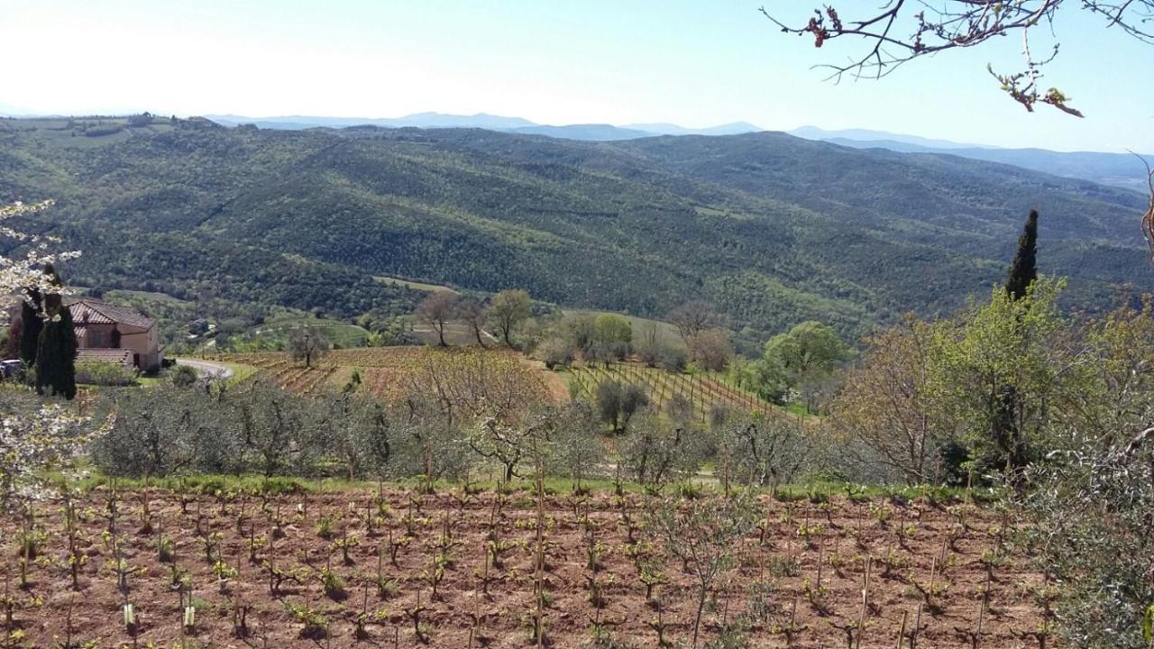Podere Soccorso Casa Vigneto Montalcino Exterior foto